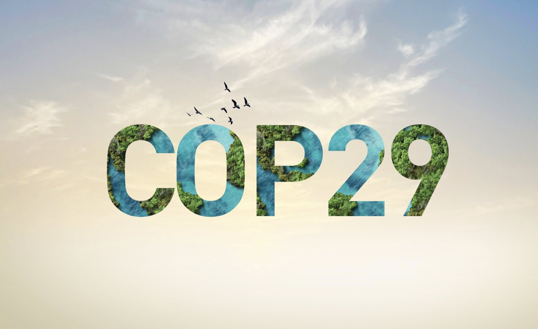 COP29: Turning the Renewables Revolution Toward Justice