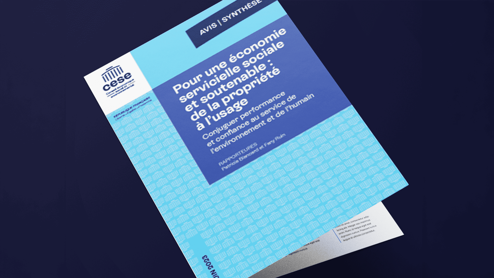 Pour une économie servicielle, sociale et soutenable : de la propriété à l'usage