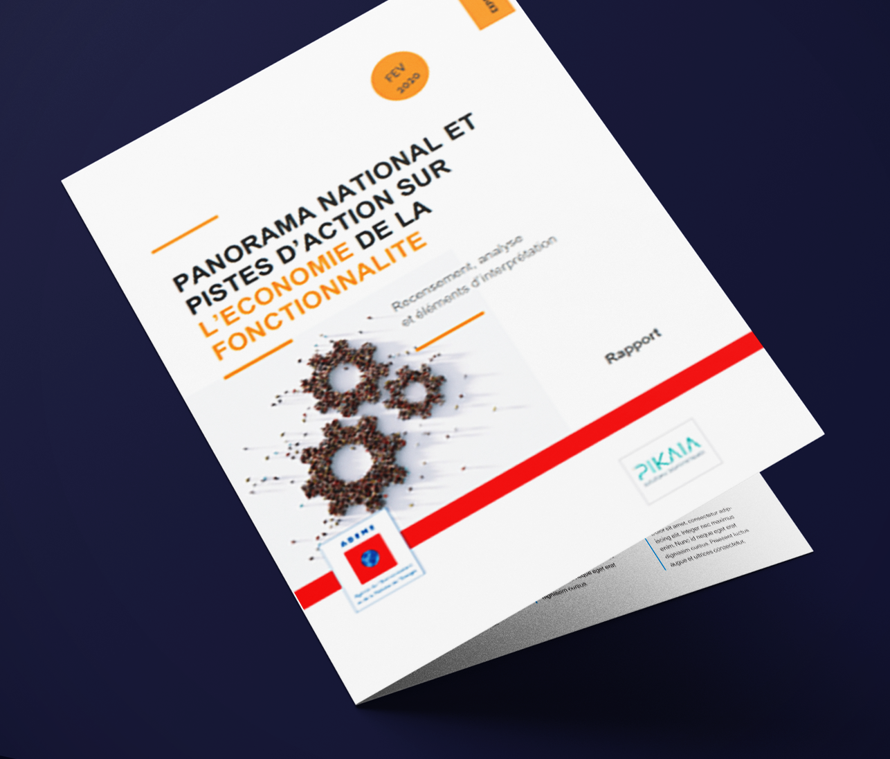 Expériences d'entreprises en économie de la fonctionnalité