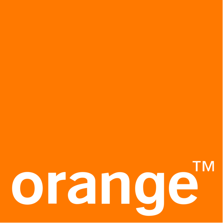 logo orange couleur pour movinon